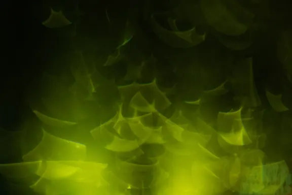 Billion Casino Suporte